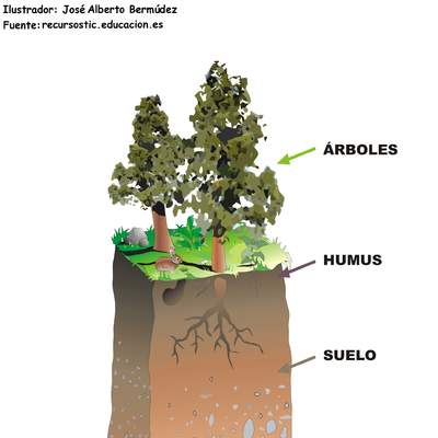 Estructura de suelo rotulado