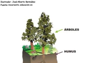 Estructura de suelo rotulado