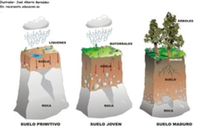 Formación de suelo rotulado