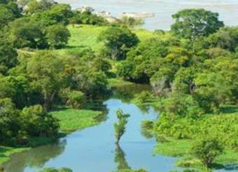 Fotografía del río Orinoco