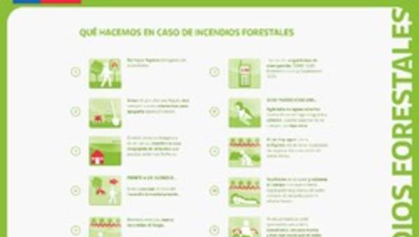 ¿Qué hacemos en caso de incendios forestales?