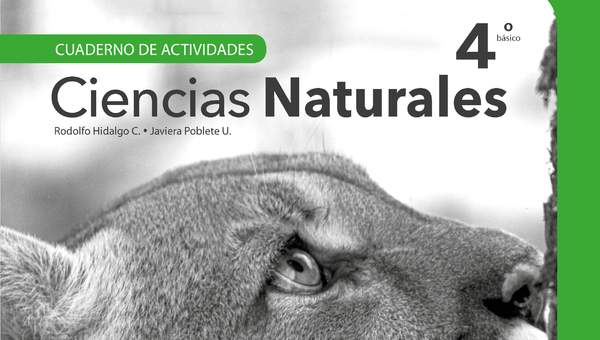 Ciencias Naturales 4° Básico, Cuaderno de actividades - Fragmento de muestra