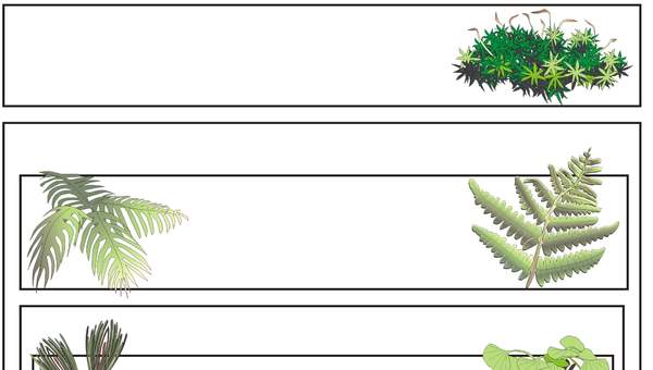 Clasificación de plantas