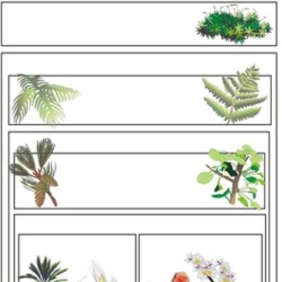 Clasificación de plantas