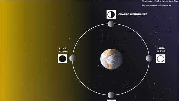 Fases de la luna