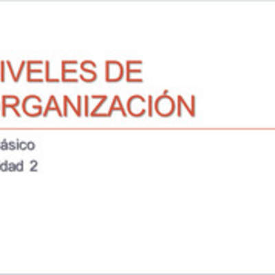 Niveles de organización