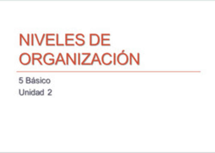 Niveles de organización