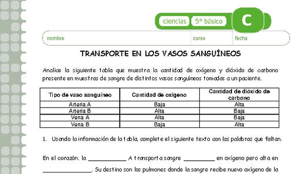 Transporte de gases