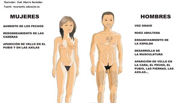 Desarrollo sexual humano