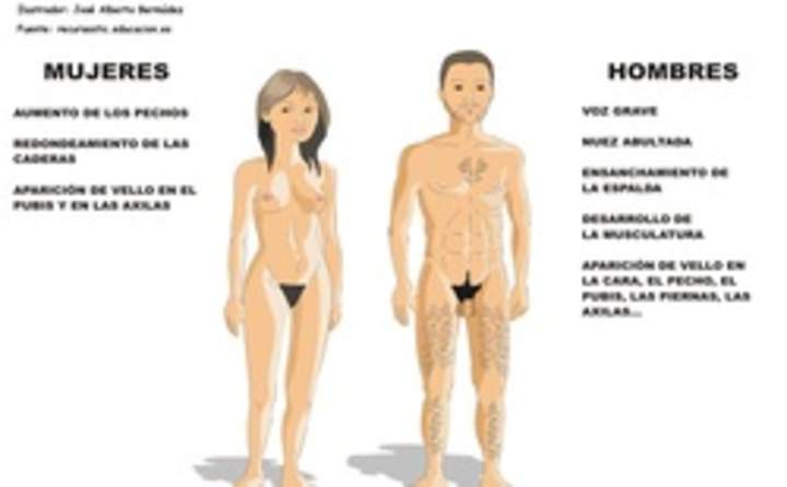 Desarrollo sexual humano