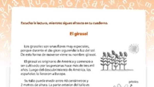 Partes de la planta