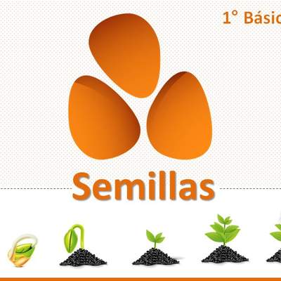 Semillas