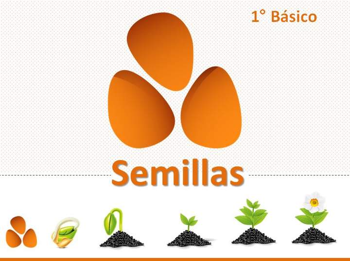 Semillas