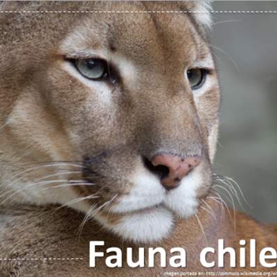 Fauna chilena