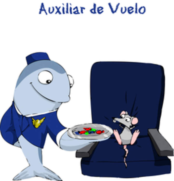 Auxiliar de vuelo