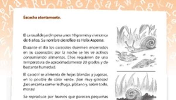 Texto informativo del caracol