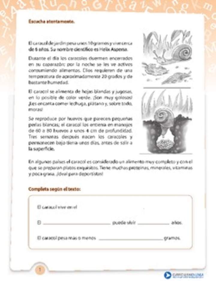 Texto informativo del caracol