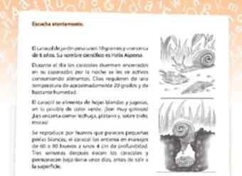 Texto informativo del caracol