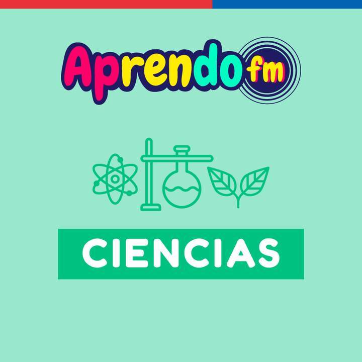 AprendoFM: Ciencias - 8° OA5 - Cápsula 136 - Sistema digestivo