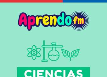 AprendoFM: Ciencias - 8° OA5 - Cápsula 136 - Sistema digestivo