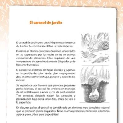 El caracol de jardín