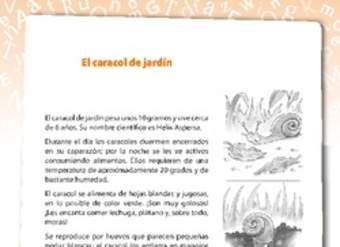 El caracol de jardín