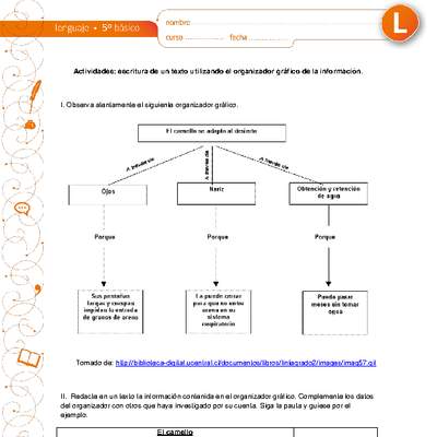 Escritura de un texto utilizando el organizador gráfico de la información