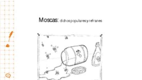 Moscas: dichos populares y refranes