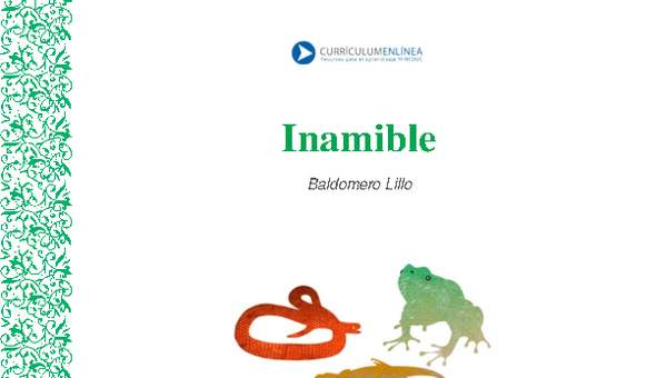 Inamible