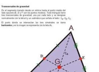 Las transversales de gravedad y el baricentro
