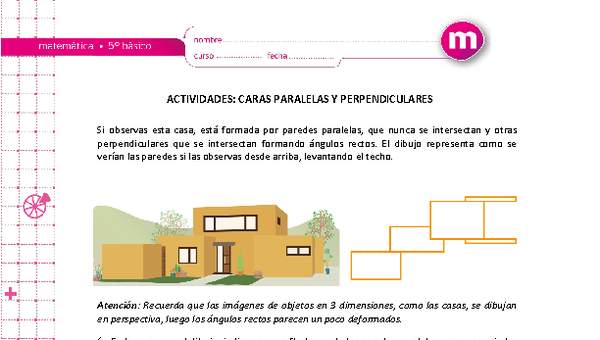 Caras paralelas y perpendiculares