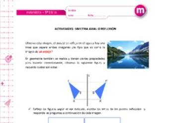 Simetría axial o reflexión