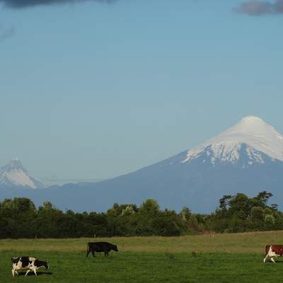 Volcan Osorno - https://pixabay.com/