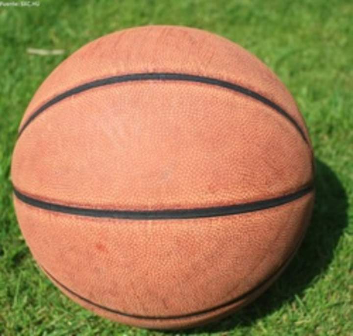 Pelota de basquetbol