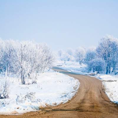 Paisaje nevado