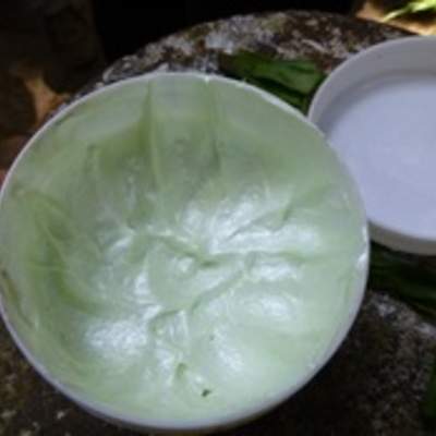 Crema de aloe vera