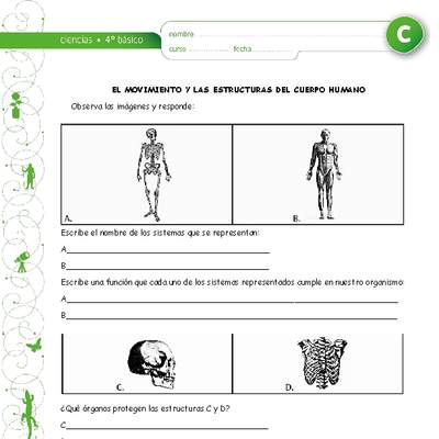 El movimiento y los sistemas del cuerpo