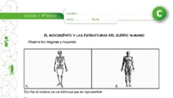 El movimiento y los sistemas del cuerpo