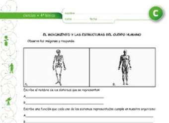 El movimiento y los sistemas del cuerpo