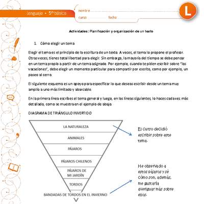 Planificación y organización de un texto