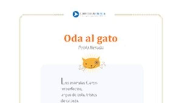 Oda al gato