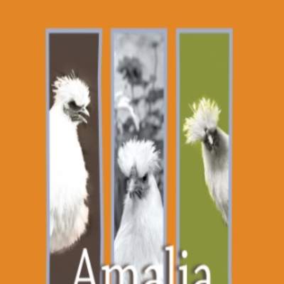 Amalia Historia de una gallina