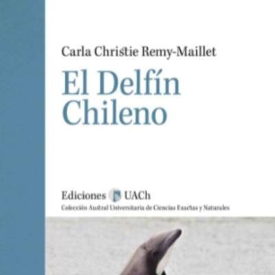 El delfín chileno