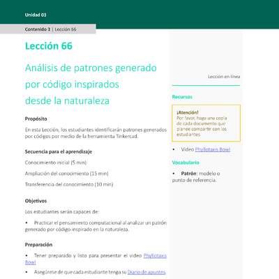 Unidad 3 - Lección 66: Análisis de patrones generado por código inspirados desde la naturaleza