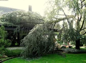 Tormenta de viento