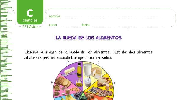 La rueda de los alimentos