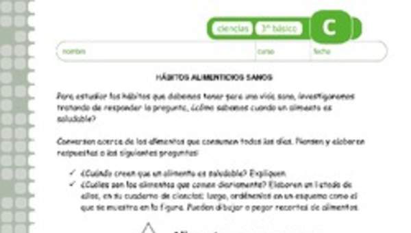 Hábitos alimenticios sanos