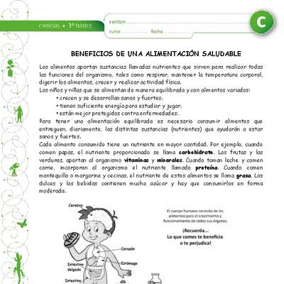 Beneficios de una alimentación saludable