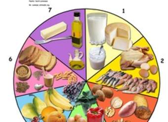 La rueda de los alimentos