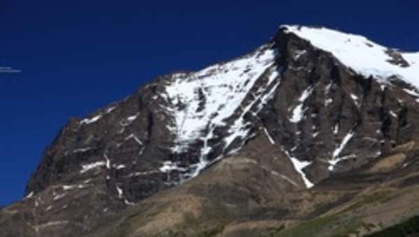 Ecosistema cordillerano chileno